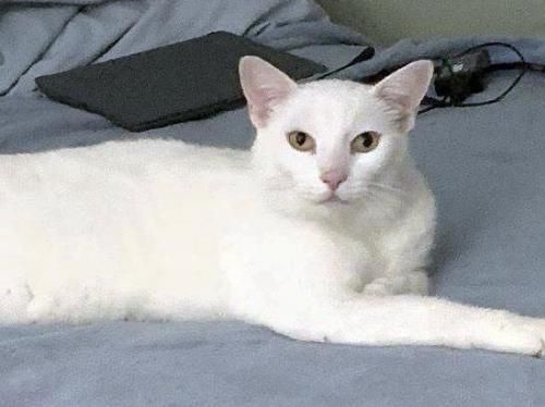 1) Casper .jpg